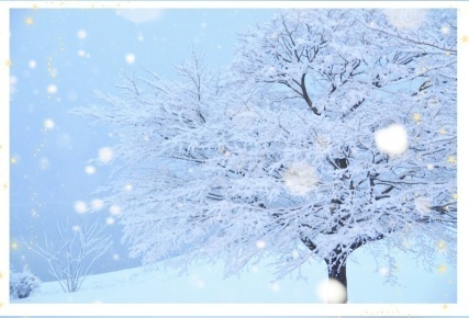 雪｜写メ日記｜小森｜大塚・巣鴨 人妻デリヘル 極上でエッチな人妻