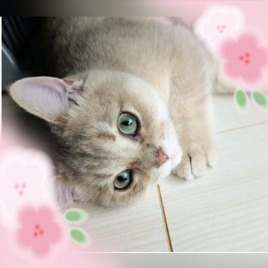 今月も｜写メ日記｜小森｜大塚・巣鴨 人妻デリヘル 極上でエッチな人妻