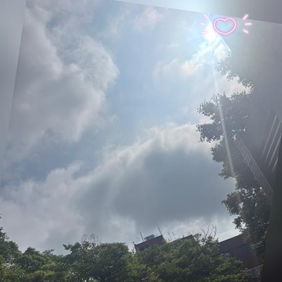 今日は出勤日☀️