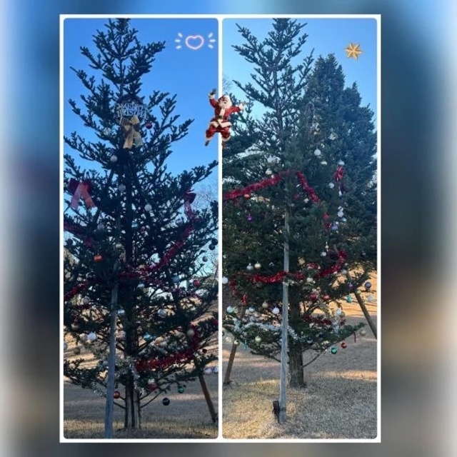 Fog day🎄｜写メ日記｜槇田(まきた)｜恵比寿・目黒 人妻デリヘル 熟女出逢い会『百合の園』目黒店