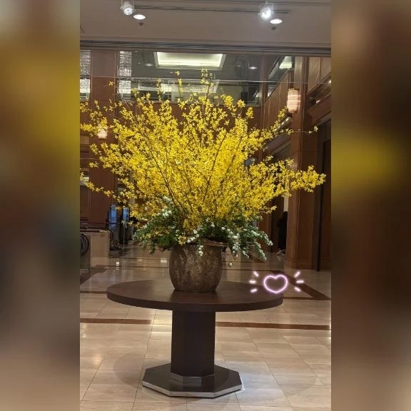 今日は出勤日✨