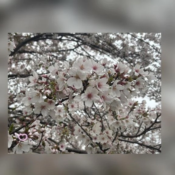 明日は出勤日✨