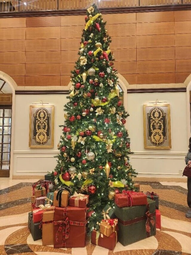 おやすみなさい😌🌃💤｜写メ日記｜美宙(みひろ)｜恵比寿・目黒 人妻デリヘル 熟女出逢い会『百合の園』目黒店