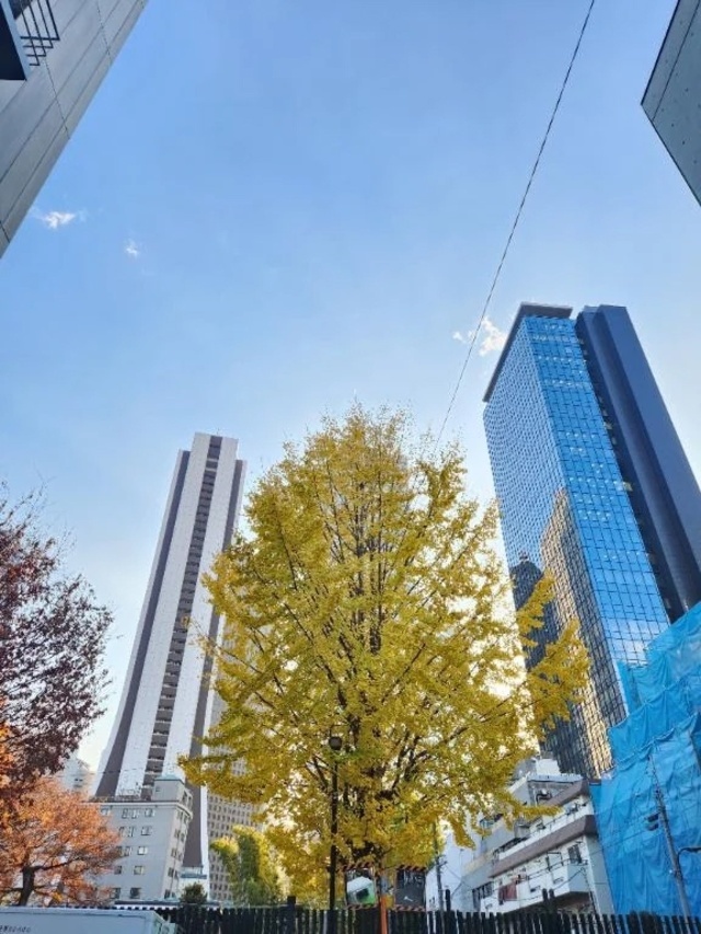 地震の地域の皆様