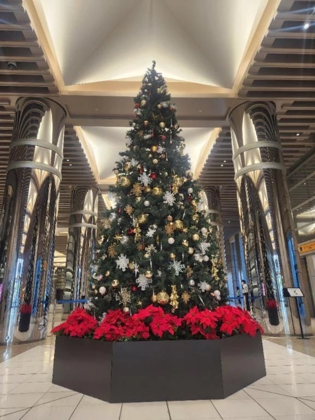 メリークリスマス✨🎄✨｜写メ日記｜美宙(みひろ)｜恵比寿・目黒 人妻デリヘル 熟女出逢い会『百合の園』目黒店