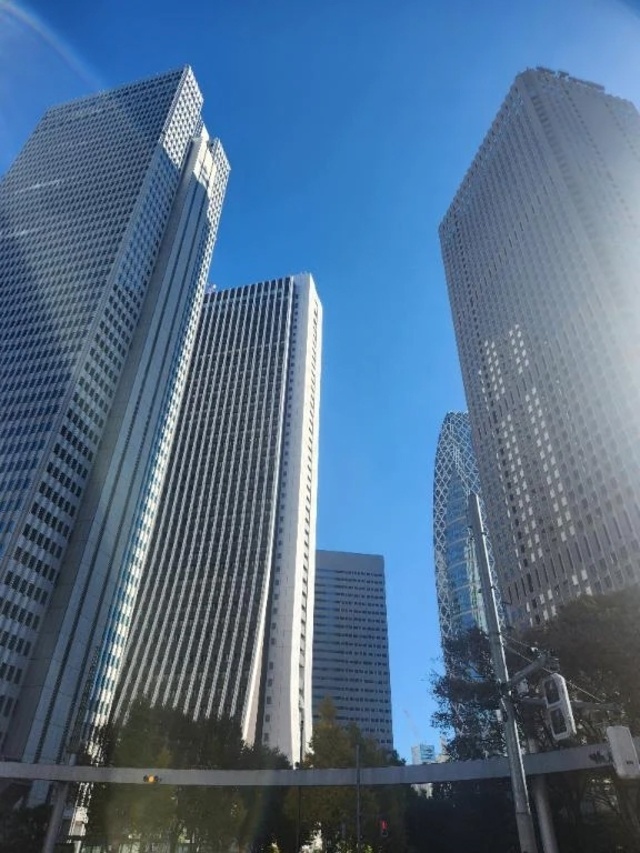 おはようございます☀️｜写メ日記｜美宙(みひろ)｜恵比寿・目黒 人妻デリヘル 熟女出逢い会『百合の園』目黒店