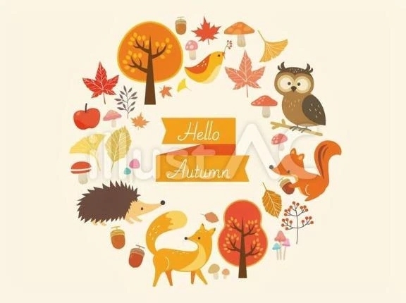 次回…｜写メ日記｜丘咲(おかざき)｜恵比寿・目黒 人妻デリヘル 熟女出逢い会『百合の園』目黒店