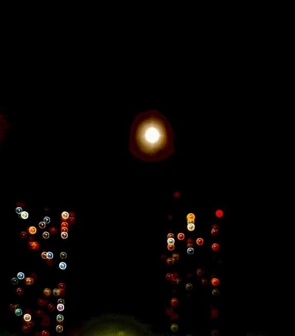 お久しぶり｜写メ日記｜丘咲(おかざき)｜恵比寿・目黒 人妻デリヘル 熟女出逢い会『百合の園』目黒店