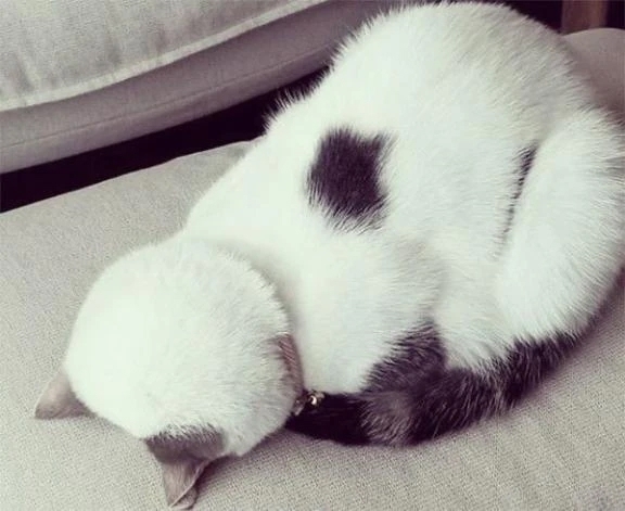 ごめんなさい｜写メ日記｜丘咲(おかざき)｜恵比寿・目黒 人妻デリヘル 熟女出逢い会『百合の園』目黒店