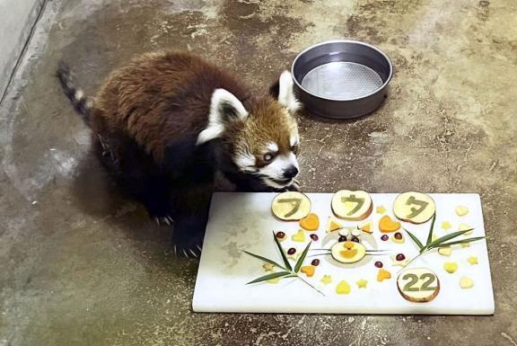 寝る前に…