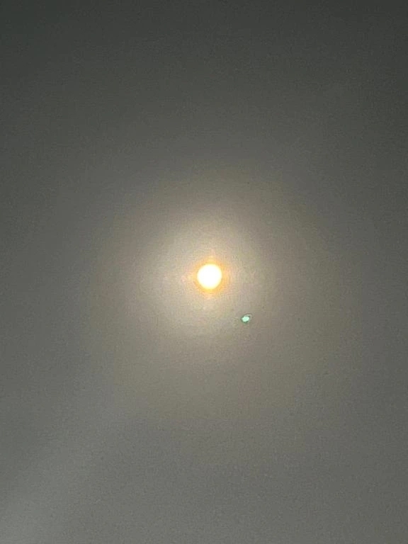 めっちゃ🌕｜写メ日記｜広沢(ひろさわ)｜恵比寿・目黒 人妻デリヘル 熟女出逢い会『百合の園』目黒店