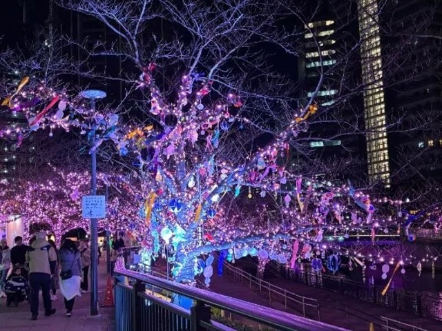 【!!】|写メ日記|広沢(ひろさわ)|恵比寿・目黒 人妻デリヘル 熟女出逢い会『百合の園』目黒店