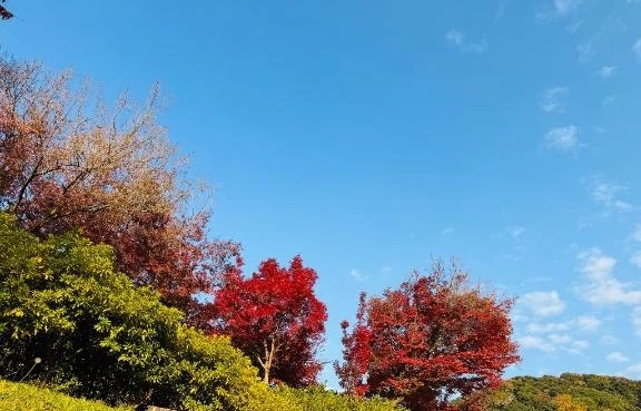 次回の出勤です