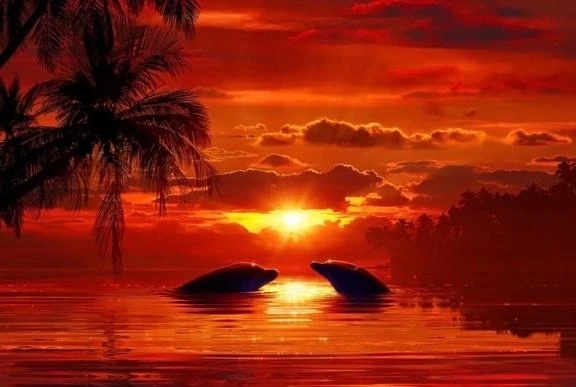 おはようございます❤️‍🩹｜写メ日記｜倉田(くらた)｜恵比寿・目黒 人妻デリヘル 熟女出逢い会『百合の園』目黒店