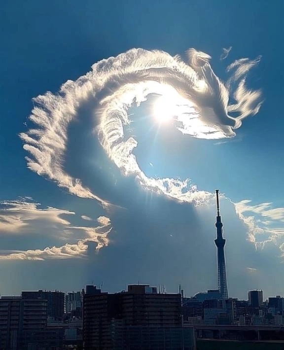 おはようございます❣️❤️‍🩹