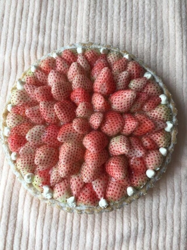 おやつ食べました❣️❤️‍🩹｜写メ日記｜倉田(くらた)｜恵比寿・目黒 人妻デリヘル 熟女出逢い会『百合の園』目黒店