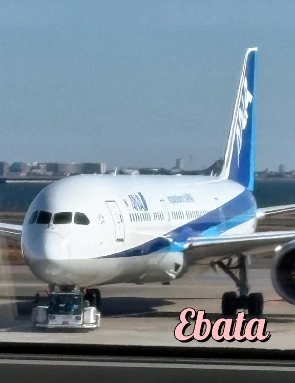 空の旅✈️｜写メ日記｜江端(えばた)｜恵比寿・目黒 人妻デリヘル 熟女出逢い会『百合の園』目黒店