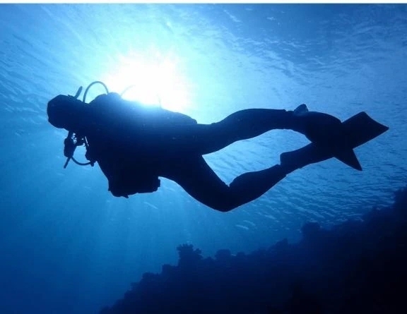 愛してやまない｜写メ日記｜澄原(すみはら)｜恵比寿・目黒 人妻デリヘル 熟女出逢い会『百合の園』目黒店