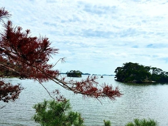 おはようございます✈️｜写メ日記｜れいこ｜中野・吉祥寺 人妻デリヘル 吉祥寺おかあさん