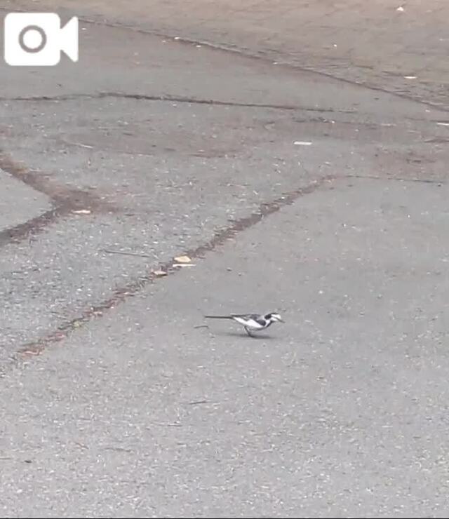 逃げても🍀