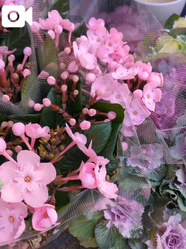 残念😞|写メ日記|みほ|中野・吉祥寺 人妻デリヘル 吉祥寺おかあさん