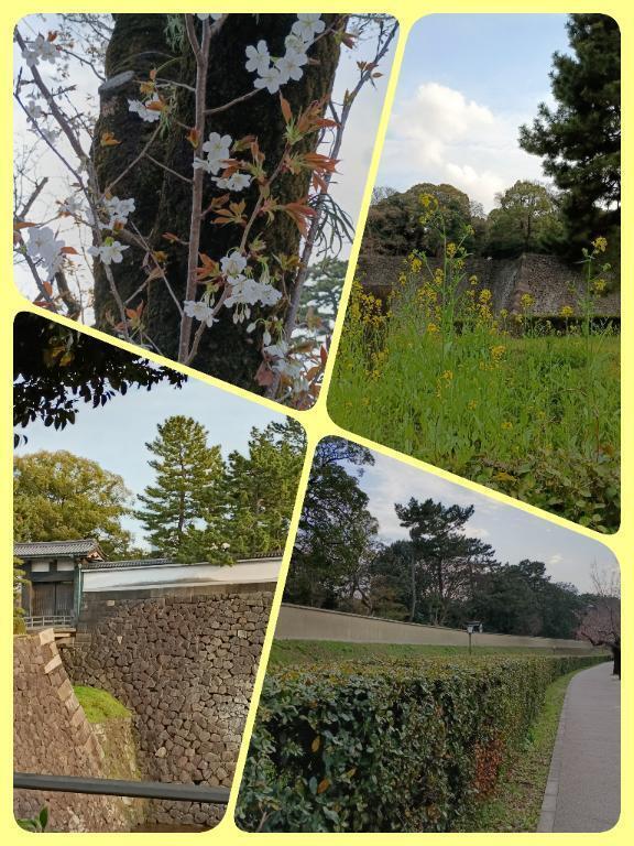 プチ家出🤭｜写メ日記｜ことね｜中野・吉祥寺 人妻デリヘル 吉祥寺おかあさん