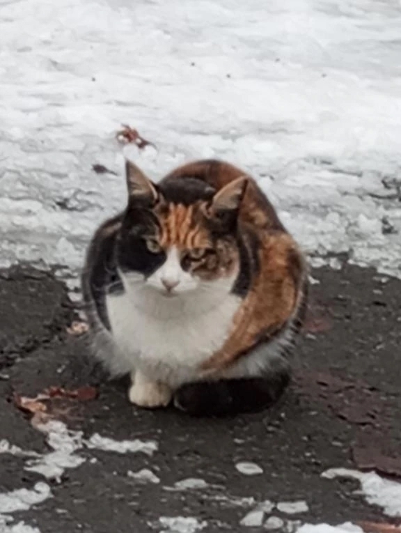 窓のお外は . . 💗｜写メ日記｜けいな｜中野・吉祥寺 人妻デリヘル 吉祥寺おかあさん