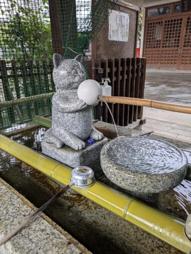 本日20時から出勤します｜写メ日記｜ゆず｜中野・吉祥寺 人妻デリヘル 吉祥寺おかあさん