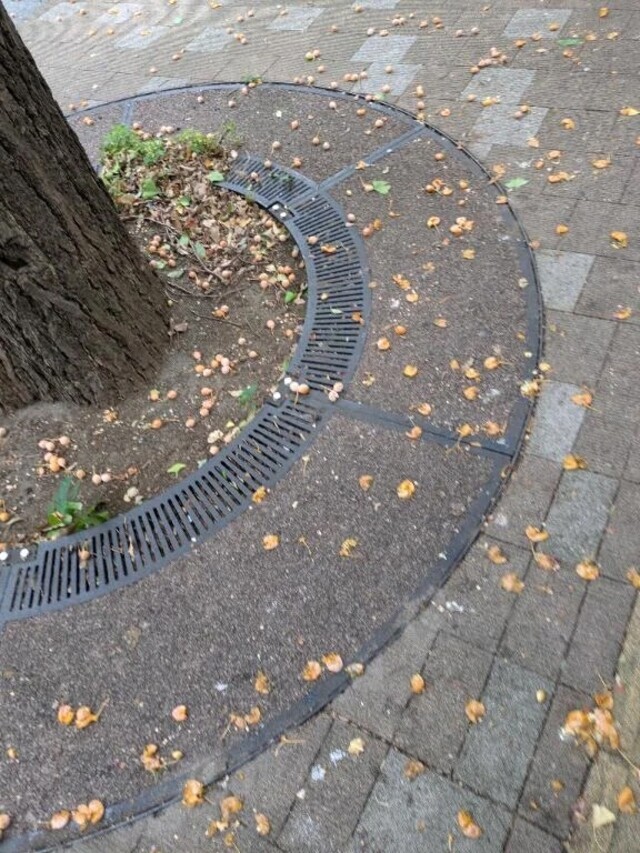 忘れてた…もうそんな季節なんだ｜写メ日記｜ゆず｜中野・吉祥寺 人妻デリヘル 吉祥寺おかあさん