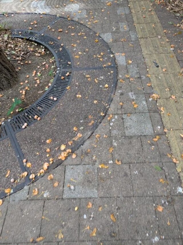 今日も今日とて｜写メ日記｜ゆず｜中野・吉祥寺 人妻デリヘル 吉祥寺おかあさん