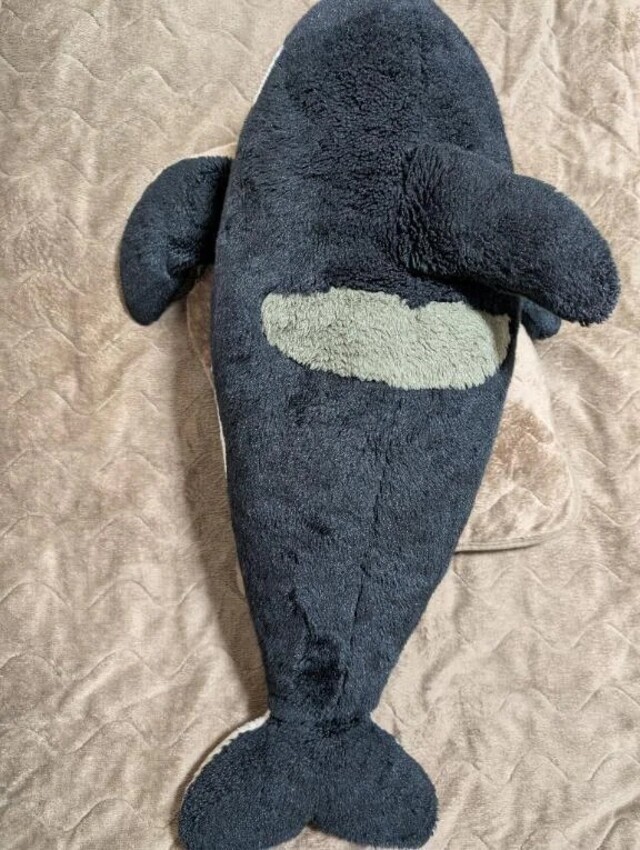 問題です！｜写メ日記｜そのみ｜中野・吉祥寺 人妻デリヘル 吉祥寺おかあさん