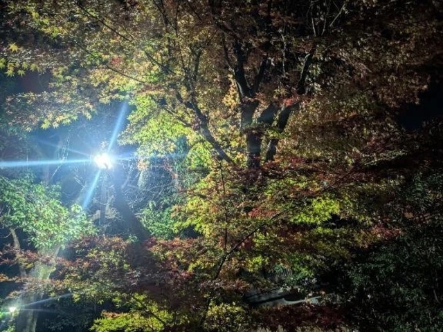 お疲れ様です!｜写メ日記｜そのみ｜中野・吉祥寺 人妻デリヘル 吉祥寺おかあさん