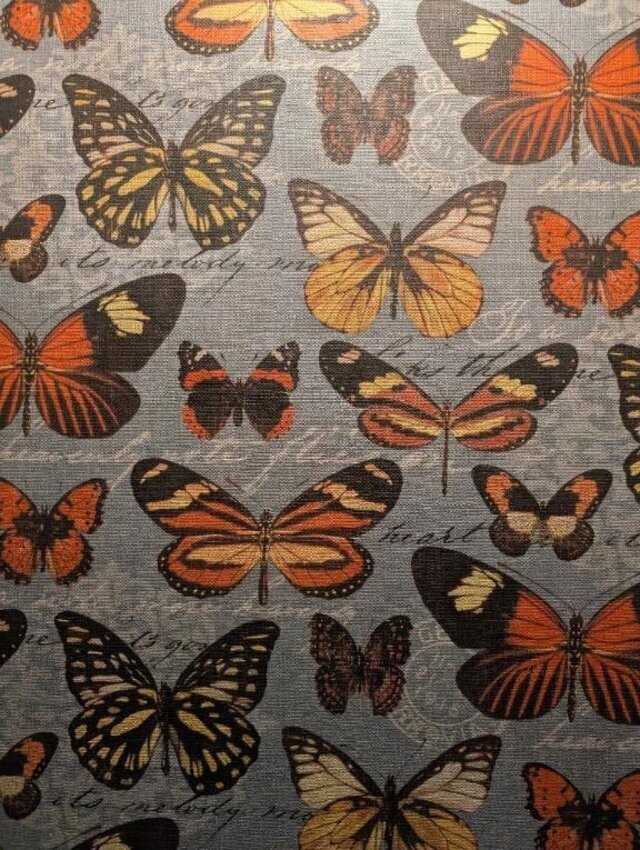 今日はごめんなさい…｜写メ日記｜そのみ｜中野・吉祥寺 人妻デリヘル 吉祥寺おかあさん