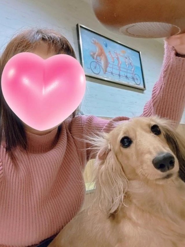 わんちゃん🐶｜写メ日記｜あんず｜中野・吉祥寺 人妻デリヘル 吉祥寺おかあさん