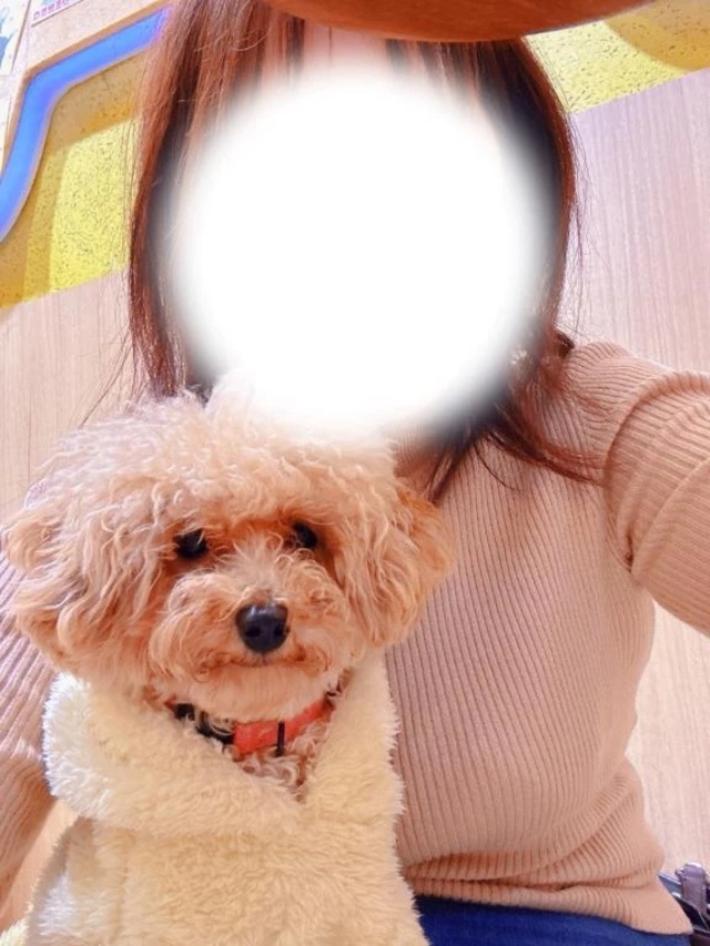 只今出勤してます♪(^ー^)ノ｜写メ日記｜あんず｜中野・吉祥寺 人妻デリヘル 吉祥寺おかあさん