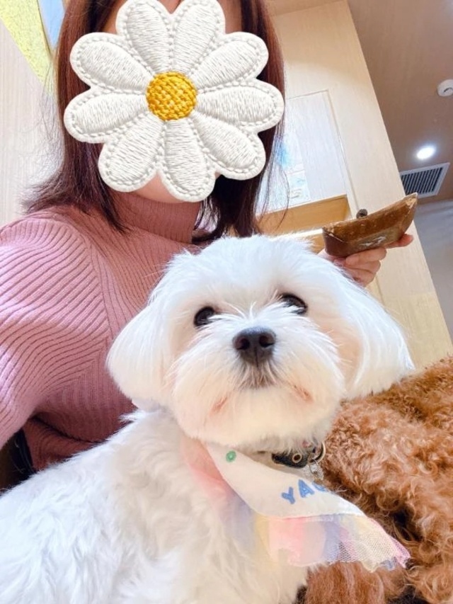 本日予定通り出勤します♬.*ﾟ｜写メ日記｜あんず｜中野・吉祥寺 人妻デリヘル 吉祥寺おかあさん