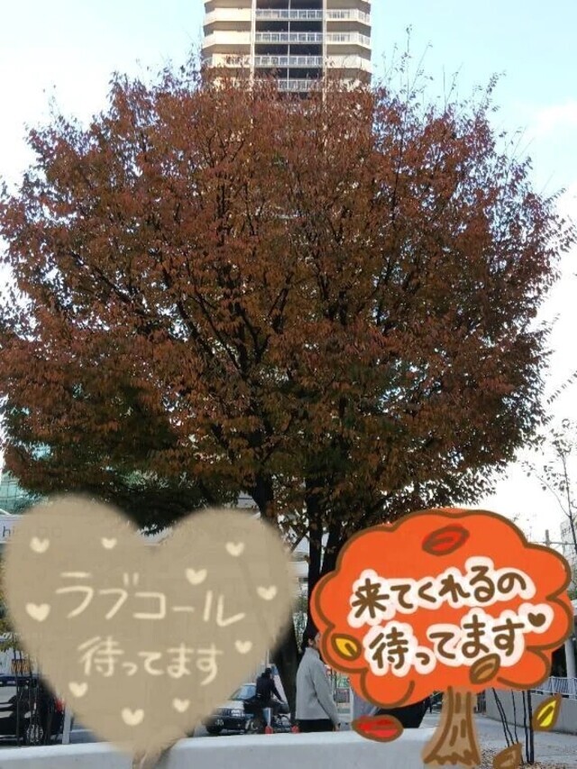 明日は...｜写メ日記｜いぶき｜中野・吉祥寺 人妻デリヘル 吉祥寺おかあさん