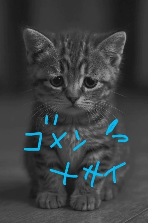 (お知らせ) 1/9お休みいたします