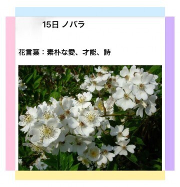 本日も、ありがとう。|写メ日記|山波 幸|上野・浅草・秋葉原 人妻デリヘル こあくまな人妻・熟女たち上野・御徒町店(Kグループ)