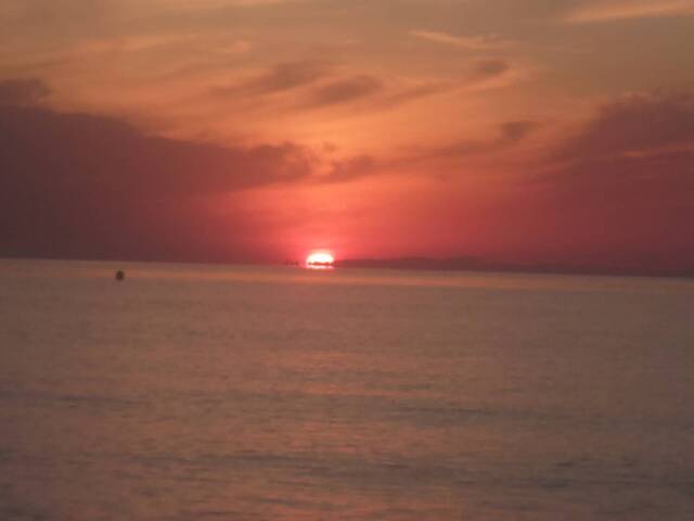 火曜日｜写メ日記｜樹（いつき）｜鶯谷 人妻デリヘル 奥様は痴女