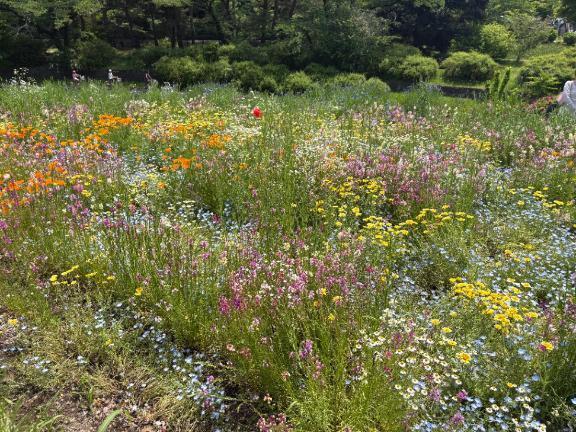 ひさびさに｜写メ日記｜まな｜大塚・巣鴨 一般デリヘル 大塚デリ姫
