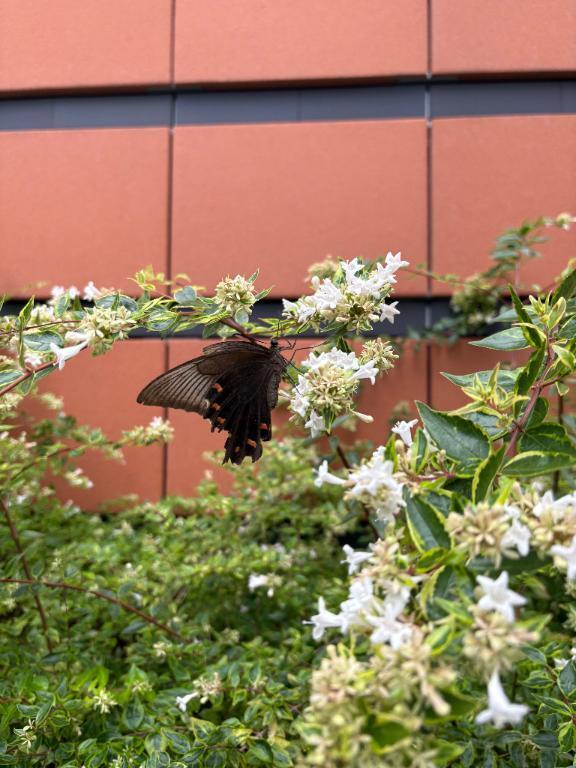 ばびょ〜ん｜写メ日記｜まな｜大塚・巣鴨 一般デリヘル 大塚デリ姫