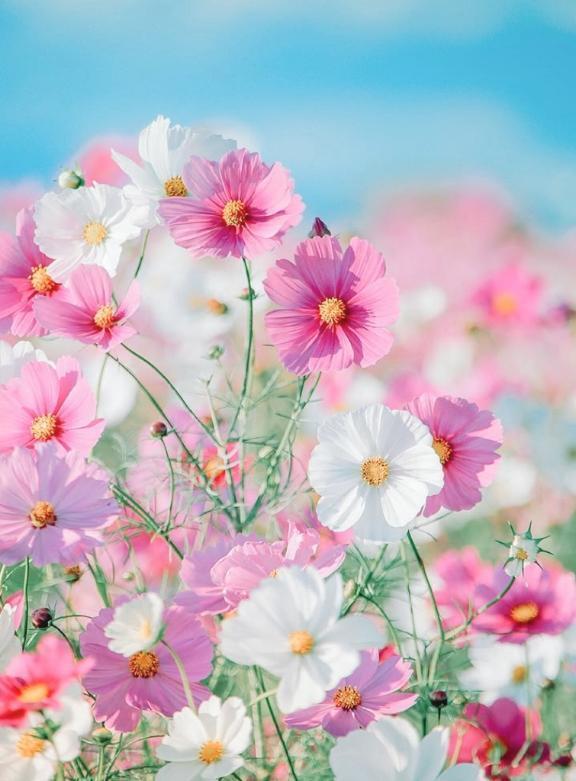 お久しぶりです｜写メ日記｜れいみ｜大塚・巣鴨 一般デリヘル 大塚デリ姫