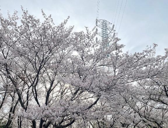 次回出勤