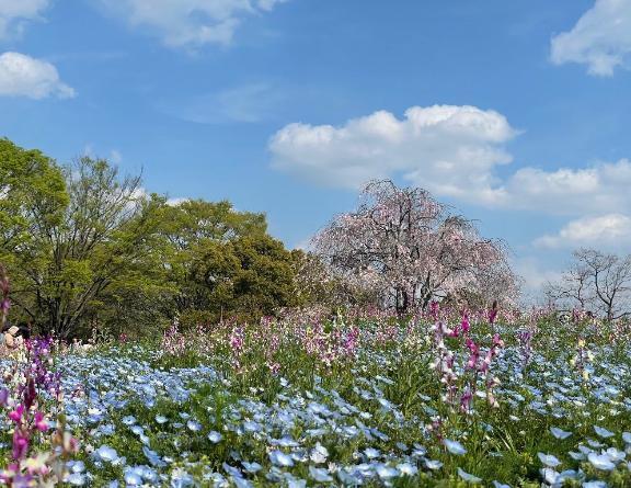 明日出勤します♡｜写メ日記｜ななか｜大塚・巣鴨 一般デリヘル 大塚デリ姫