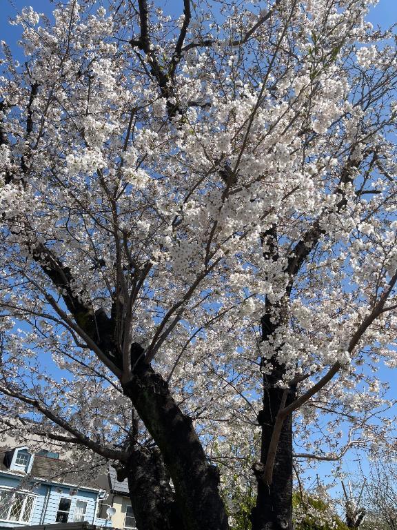 こんばんは！｜写メ日記｜いく｜大塚・巣鴨 一般デリヘル 大塚デリ姫