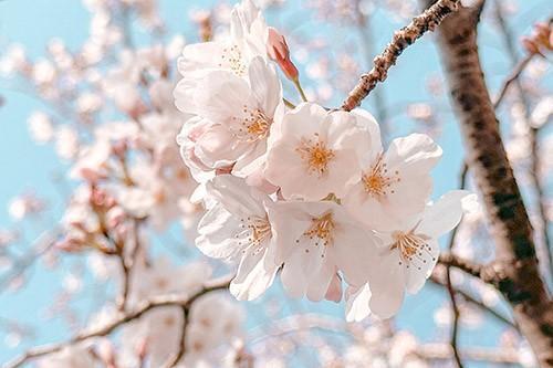 フリー素材です｜写メ日記｜といろ｜大塚・巣鴨 一般デリヘル 大塚デリ姫