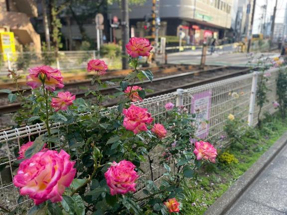 いつもより｜写メ日記｜わこ｜大塚・巣鴨 一般デリヘル 大塚デリ姫