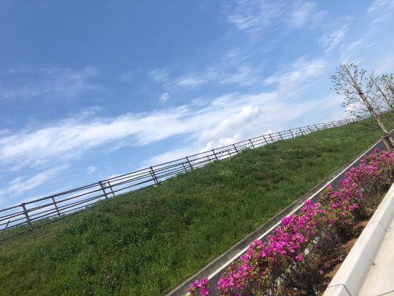 出勤します！｜写メ日記｜わこ｜大塚・巣鴨 一般デリヘル 大塚デリ姫