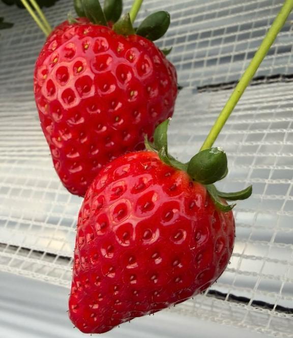 ２月｜写メ日記｜みなみ｜大塚・巣鴨 一般デリヘル 大塚デリ姫